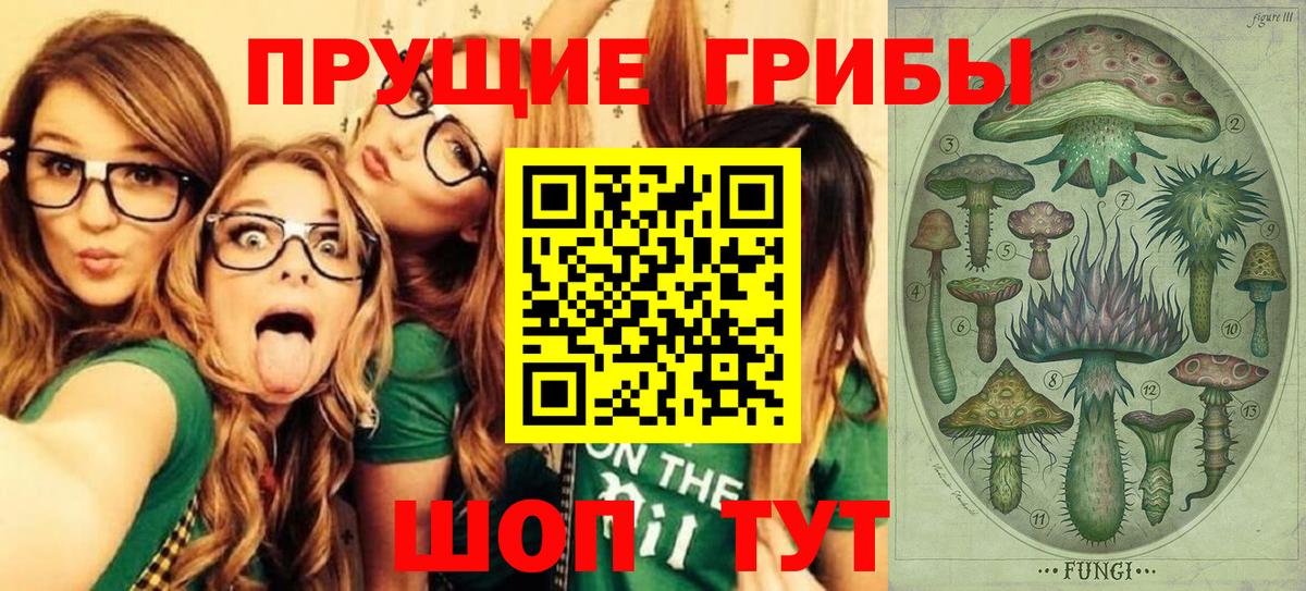 Псилоцибиновые грибы GOLDEN TEACHER  Вход с VPN  Чита 