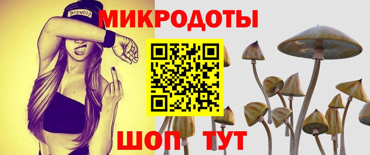 Галлюциногенные грибы Cubensis Чита